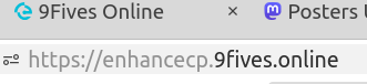 the enhance portal is at https://enhancecp.9fives.online/login